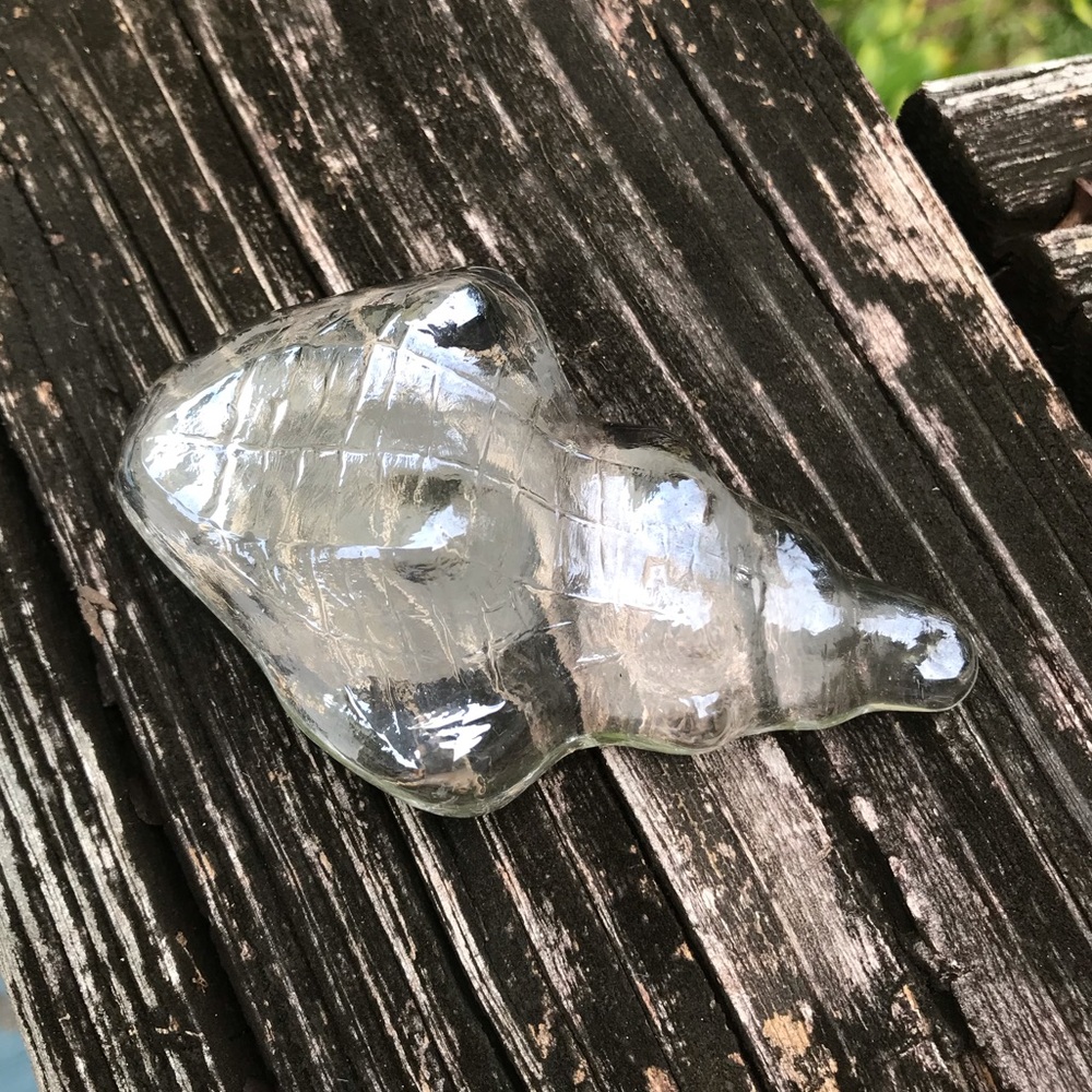 Clear Art Glass Recycled Glass Shell Seashell Nautical Paperweight